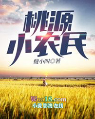 桃源小县令大结局